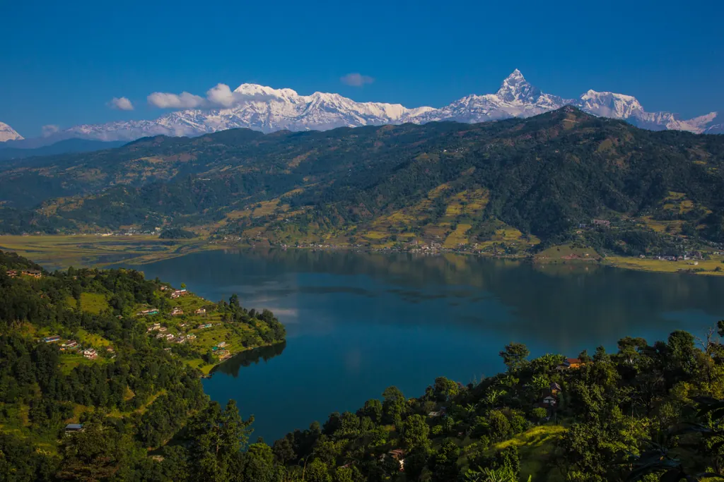 Phewa-søen ved Pokhara med grønne bakker og Annapurna-bjergenes sneklædte tinder i baggrunden