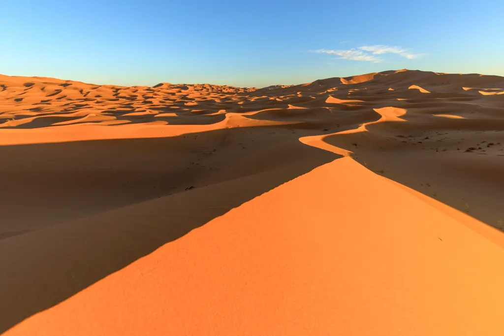 Klitterne i Erg Chebbi ved Merzouga i det lave aftenlys