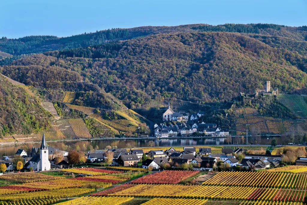 Bindingsværksbyen Beilstein ved Mosel med vinmarker på skråningerne i efterårsfarver