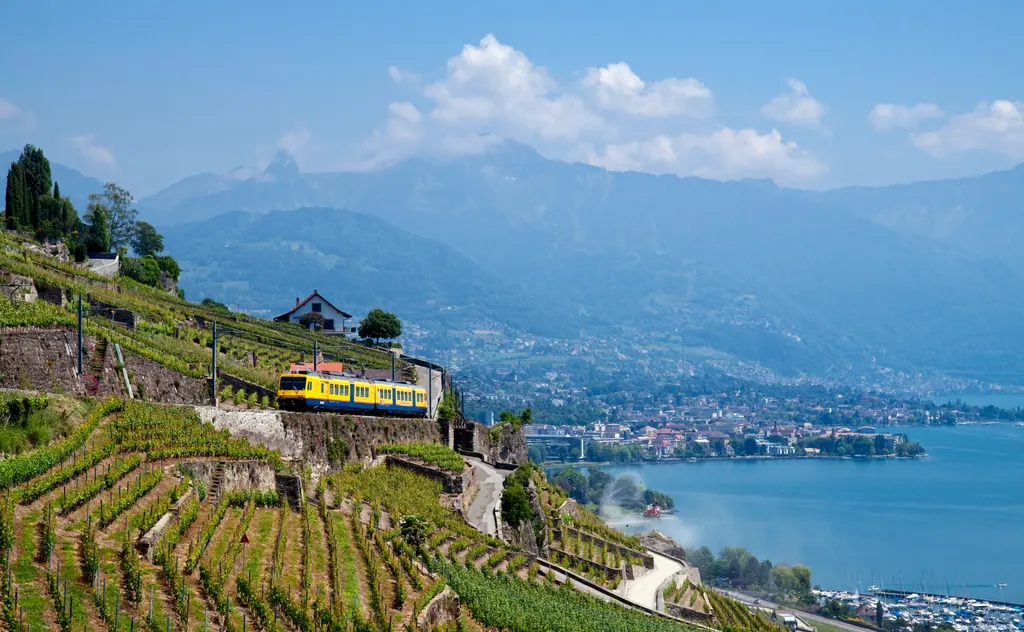 Regionaltog kører op gennem vinmarkerne i Lavaux med Genevesøen og bjergene i baggrunden