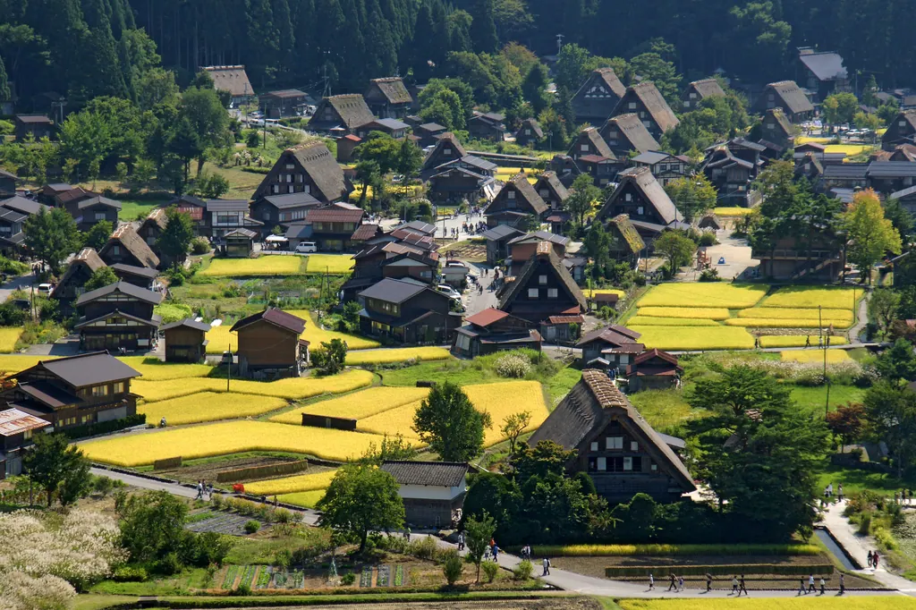 Ogimachi i Shirakawa-go med stråtækte huse og rismarker