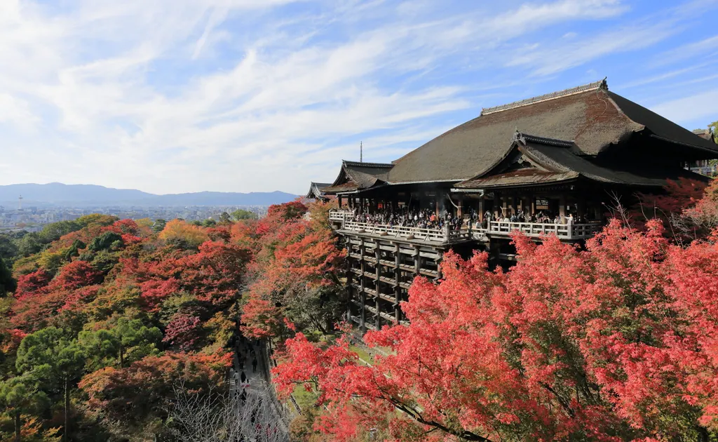 Kiyomizu-dera-templet i Kyoto omgivet af røde ahorntræer om efteråret