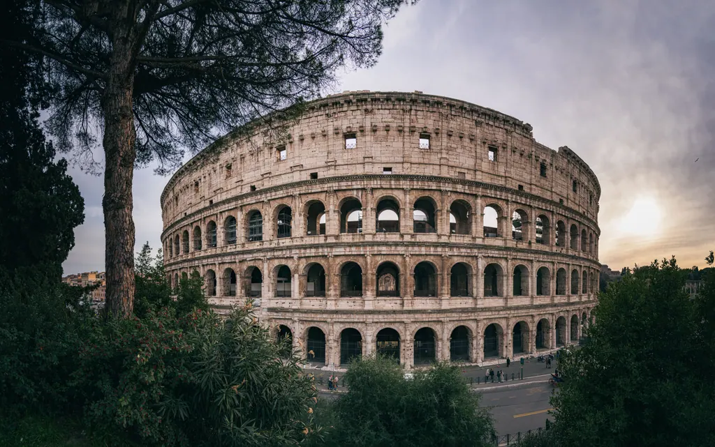 Colosseum i Rom set udefra med pinjetræer i forgrunden