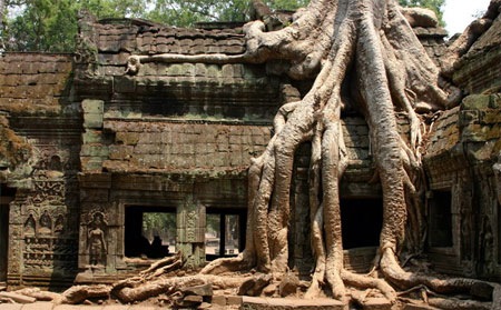 Angkor-Ta-Prohm