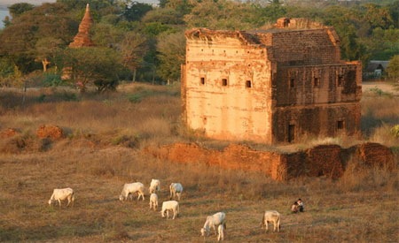 Bagan-befolkning