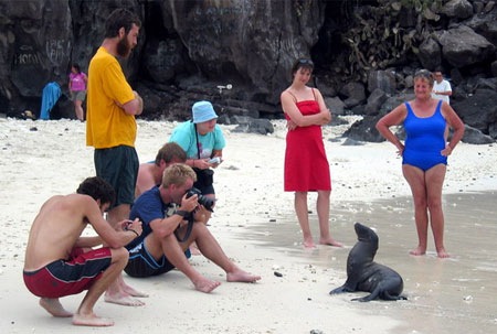 Galapagos-taet-paa