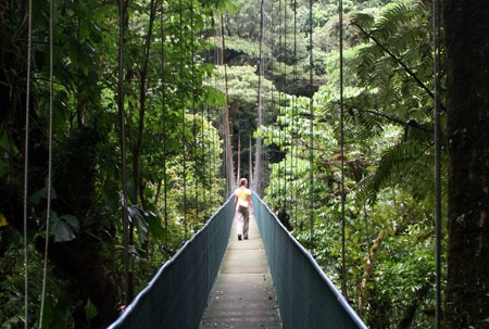Sky-Walk