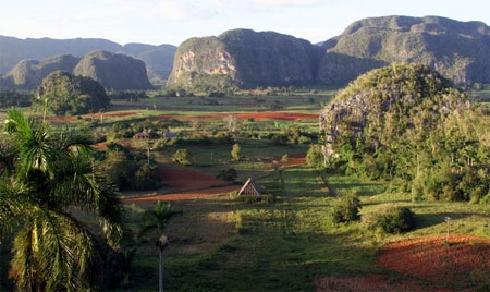 Vinales